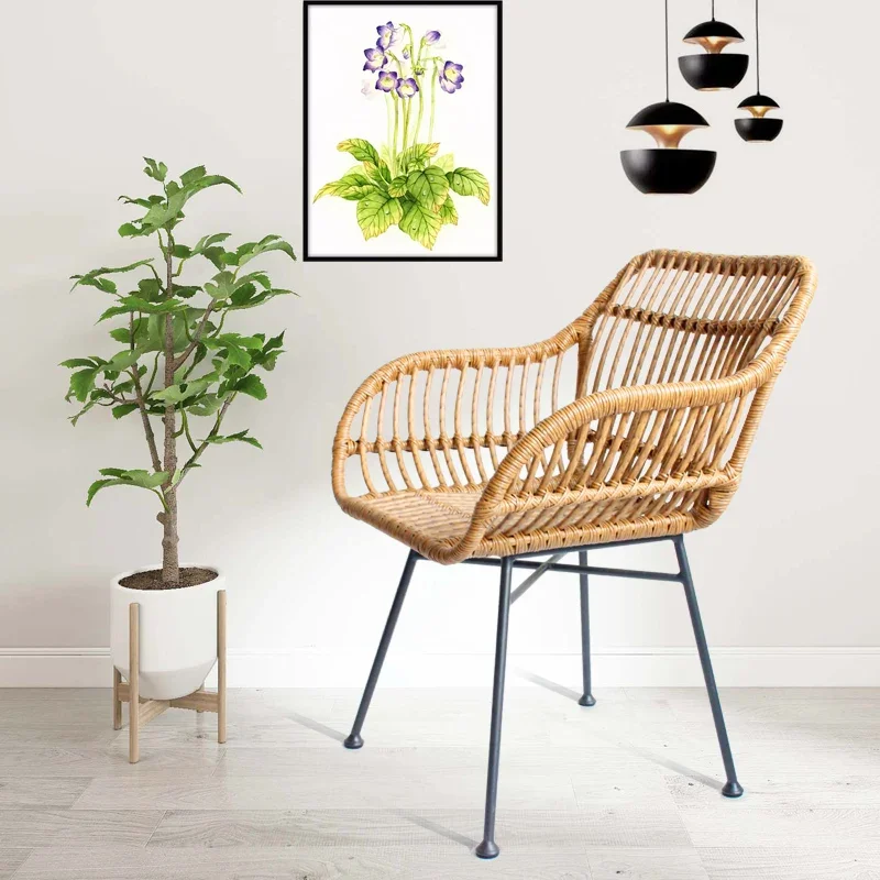 Sedie da pranzo nordiche per c - Outdoor Furniture Metal Chairs recensione e prezzo